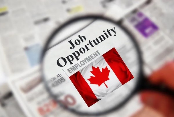 10 Unique Strategies for New Immigrants to Find a Job in Canada